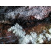 Handmade nuno felted shawl 