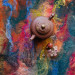 Carnival Nuno Felted Shawl