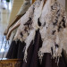 Wild Curls Nuno Felted Shawl